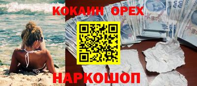 сатива Будённовск