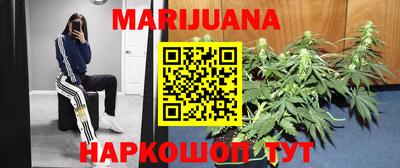сатива Будённовск