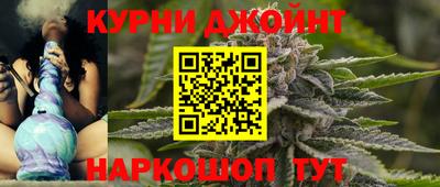 сатива Будённовск