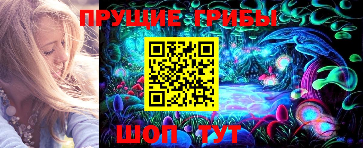 Псилоцибиновые грибы прущие грибы  купить наркоту  Прохладный  Вход с VPN 